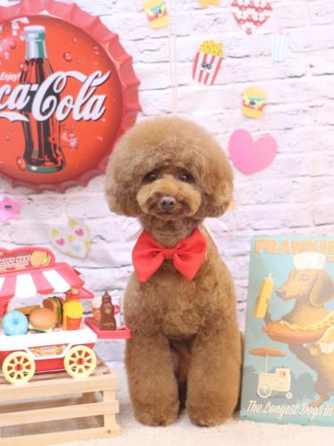 20230930ろこちゃん